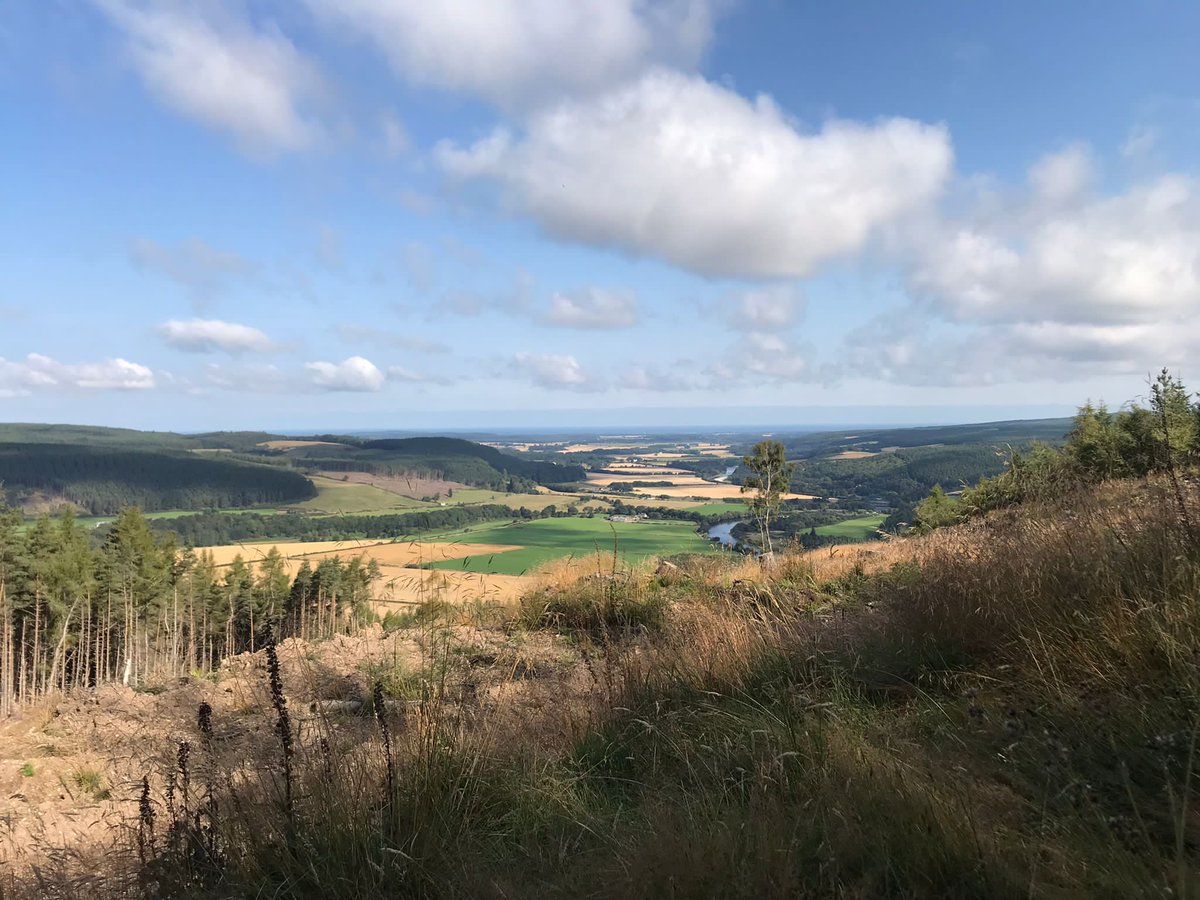 Vicky Butterby tweet media