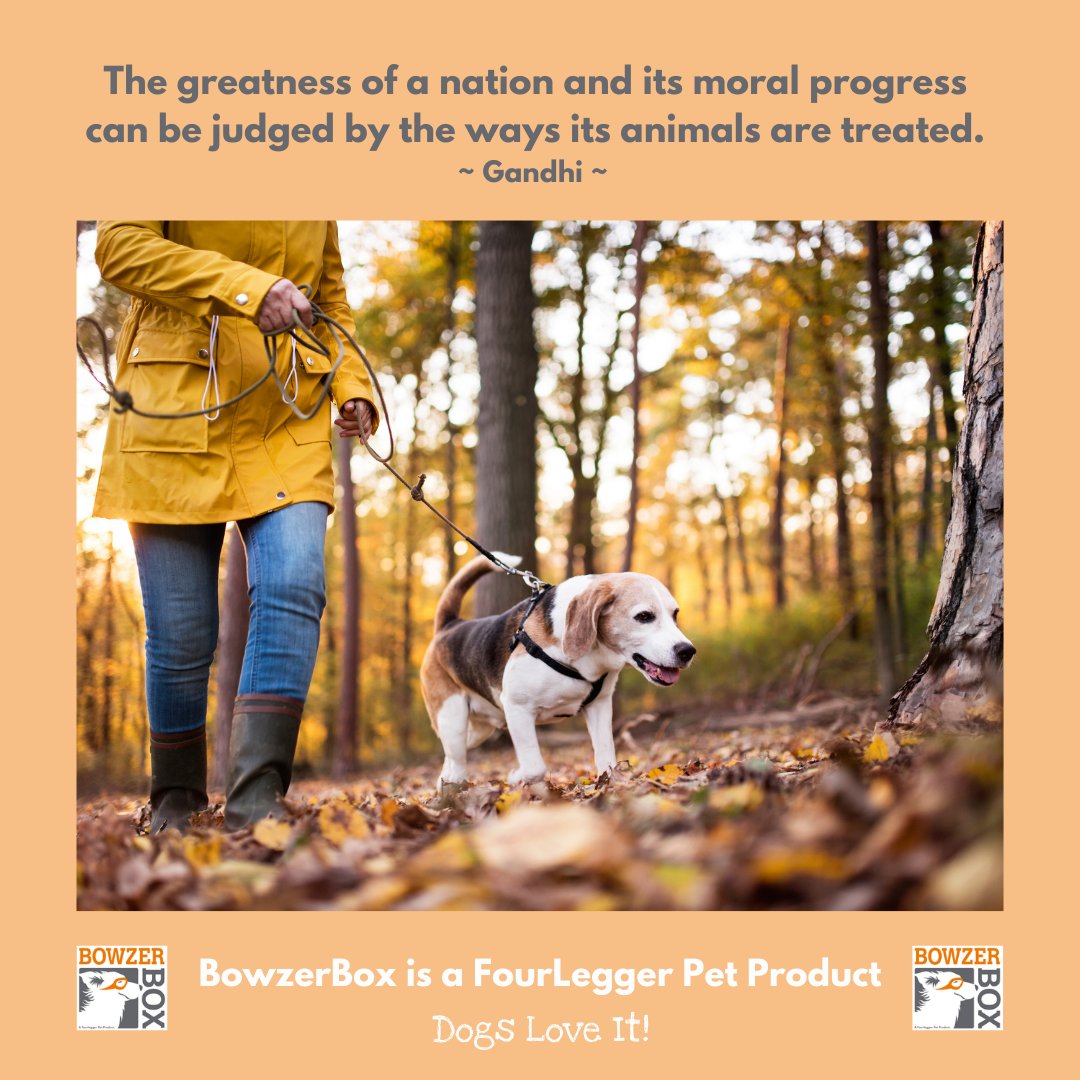 FourLeggerBox's tweet image. The greatness of a nation and its moral progress can be judged by the ways its animals are treated. 

~Gandhi

#quoteoftheday #bowzerbox #fourlegger
