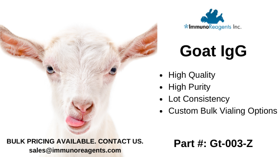 ImmunoReagents's tweet photo. Needing lot consistency with your antibodies during immunoassay testing?  ImmunoReagents provides high quality, high purity products, with lot to lot consistency for Goat IgG.  Contact us for bulk pricing. https://t.co/fKxVFBqfDR    
#antibodies  #diagnostics  #immunoassays https://t.co/NPJl1cMobp