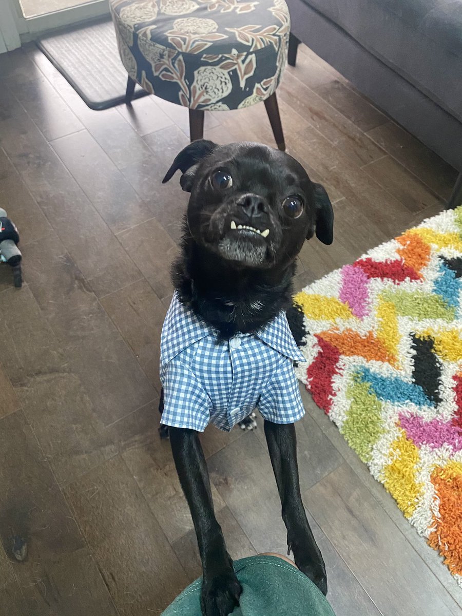 Nestingdolls_'s tweet image. Chuy wants you to know that you matter and you’re doing a good job. ❤️