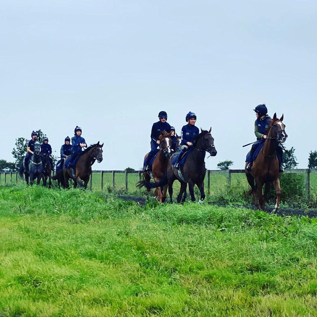 Stoneleighracin's tweet photo. Wynford knows who is boss as he leads the string @rebeccamenziesracing . We are just weighing up options for races at the moment so there is chance for those not involved to be part of the journey still, just visit our website. #winner #firstplace #triplewinner #stoneleighracing https://t.co/fRdjZnDUjW