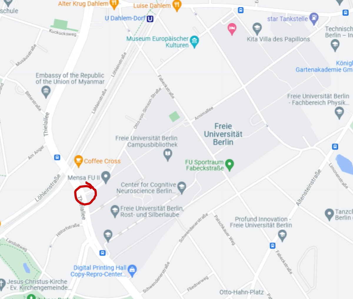 🍎Campusobst zum Selbsternten 🍏🍐

An der Thielallee 👇 stehen eine Menge Apfelbäume, sie sind öffentlich zugänglich und warten darauf geerntet zu werden: