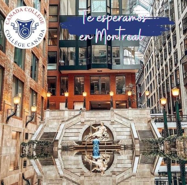 BrightEduMX's tweet photo. ¿QUIERES ESTUDIAR Y TRABAJAR EL MISMO TIEMPO EN MONTREAL, CANADÁ 🇨🇦?

Consulta a un asesor Bright Education para conocer a mas detalle estos programas y todos los beneficios migratorios adicionales para ti y para tu familia.

info@brighteducation.mx
WA 777 3072777 https://t.co/nxuOiCxkWj