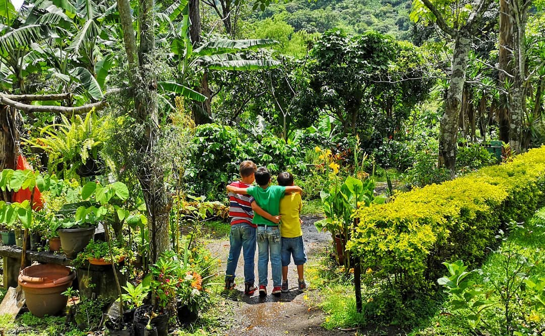 As we transcend fragmentation and reductionism and integrate the different aspects, this restores a #healthy and interconnected culture.
We are all #stakeholders of this planet. We look forward to co-creating a sustainable #planetary culture with you!