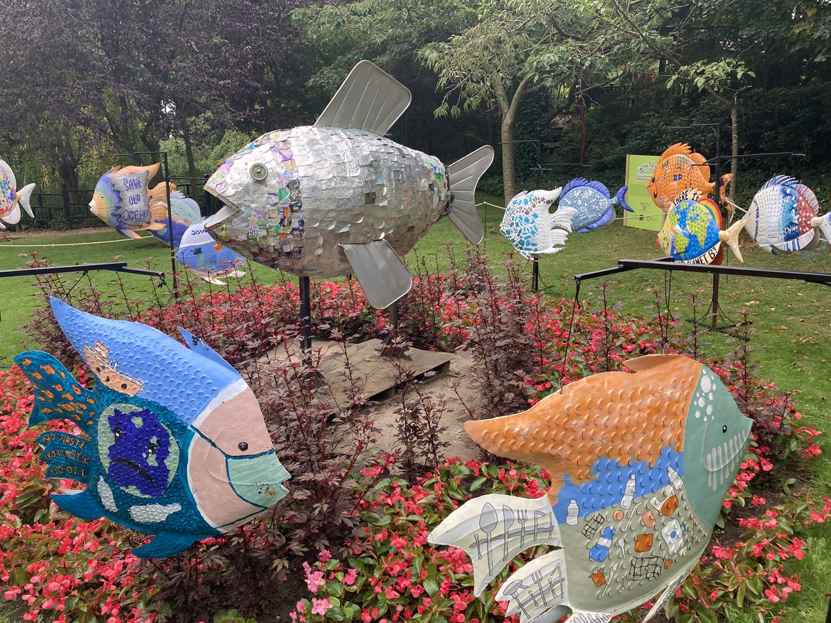 Miss Perkins (@missperkins2020) on Twitter photo Our fish is finally on display 🐠 Don’t forget to visit Chelsea Gardens in Telford Town Park to see our school fish sculpture over the next few weeks! <a href="/HLC_Primary/">HLC_Primary</a> <a href="/TelfordTownPark/">Telford Town Park</a> #hlcart Our fish is finally on display 🐠 Don’t forget to visit Chelsea Gardens in Telford Town Park to see our school fish sculpture over the next few weeks! <a href="/HLC_Primary/">HLC_Primary</a> <a href="/TelfordTownPark/">Telford Town Park</a> #hlcart