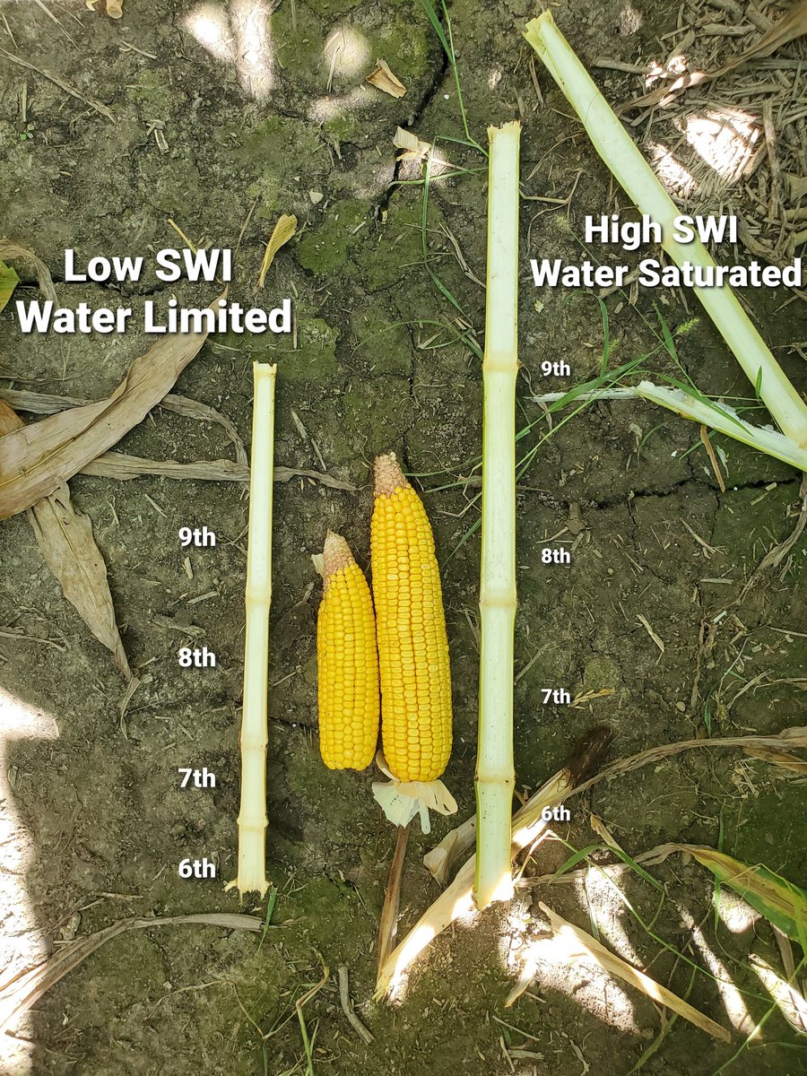 DerrekBarnes413's tweet photo. How are you managing the spatial variability in your own fields? Now is the perfect time to evaluate and begin developing new strategies for the upcoming year!  #viewfromthefields https://t.co/o2KPrMhsIR