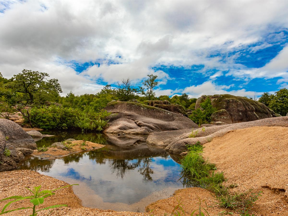 LOTFLIP's tweet photo. Featured #Lot: This 9.1 +/- acre lot north of Tishomingo, OK, features mature trees and 600 ft of Rock Creek frontage. Access is easy and power is along the road. Great spot to build a year-round home. Offered by Robert Dow w/ @remarkableland. https://t.co/u7hzaH56ZK https://t.co/jQr5mFIBj3