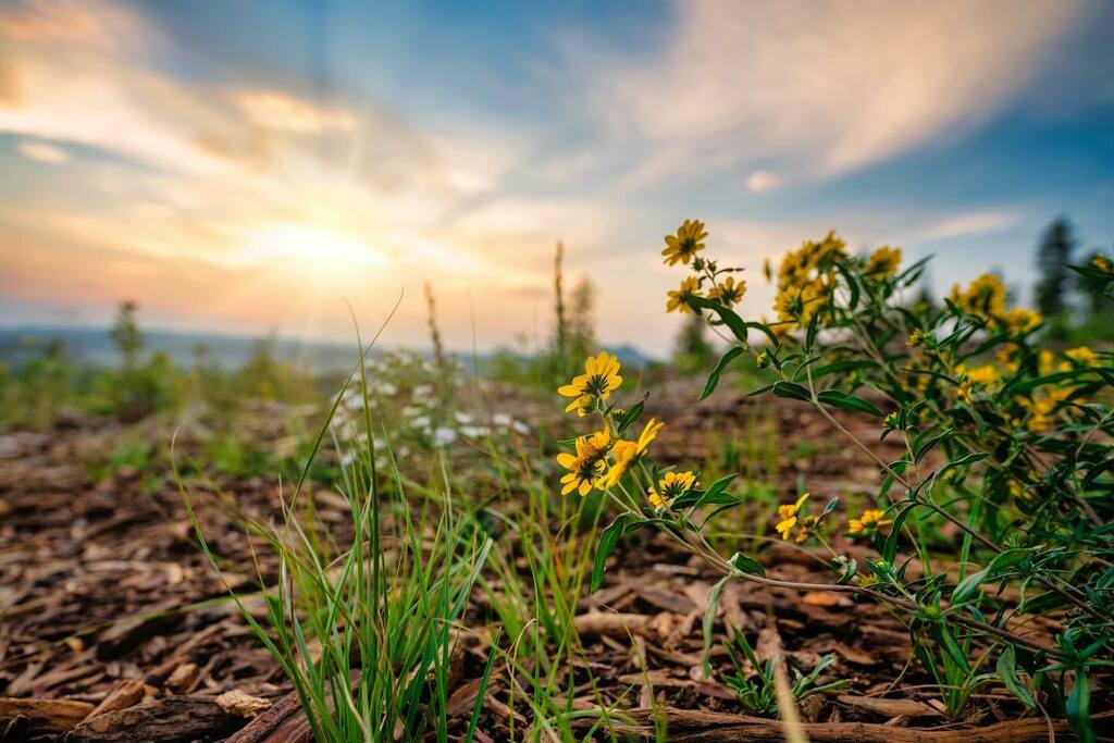 bmroche's tweet photo. A little smokey but a nice bike ride this morning! 

#earthpix #colorado #artofvisuals #amongthewild #ig_color #earth_shotz #earthhoptspots #staywild #a7riv #sonyalpha #sonyalphagallery #colorado_creative #coloradoexperiences #coloradotography #visitcolo… https://t.co/UnI8X7rxtb https://t.co/ONCq5p9R6B