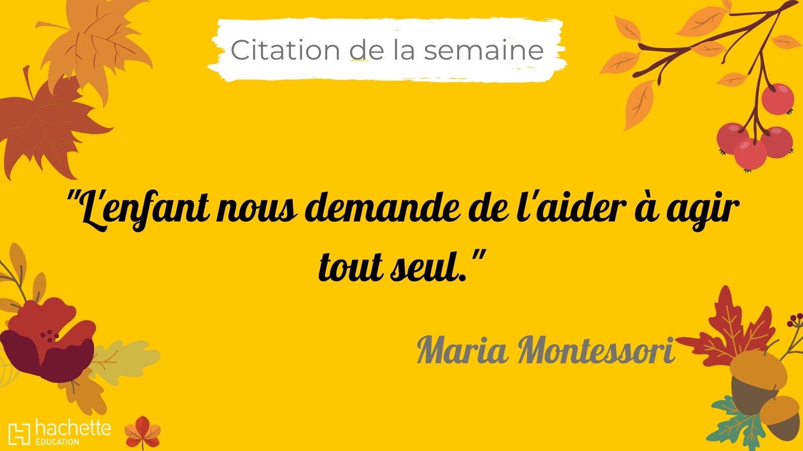 Hachette Education Mercredicitation L Enfant Nous Demande De L Aider A Agir Tout Seul Maria Montessori T Co Sgxigf3ebh Twitter