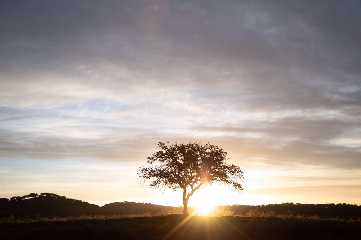 Terminado el verano y planteando el nuevo curso, en el equipo de FLV nos hemos propuesto disfrutar de lo bueno siempre, ¿por qué dejar un buen ibérico para momentos especiales y no disfrutarlos cada día? Si tanto nos gusta el verano, ¿por qué no hacerlo posible todo el año?
