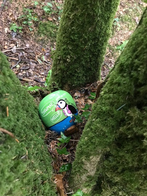 📷 🤳 Please share your photos of the Percy Pebbles that you have discovered.

Anyone found all 7?

#ShwmaePercy