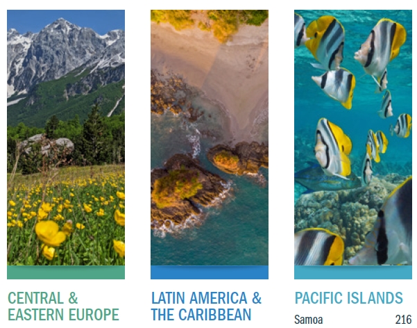 Midori Paxton tweet media