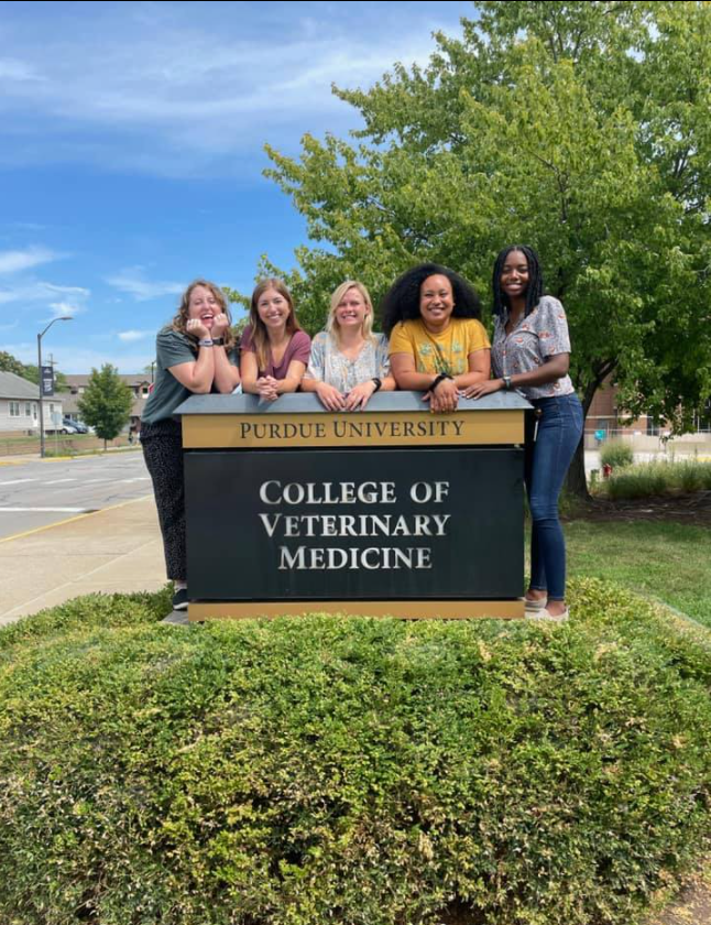 pucvm's tweet photo. The #PurdueVetMed sign was a popular spot this past week as our #DVM students marked their return to classes with mandatory first day pics! Welcome back, everyone!

#BeAPurdueVet at https://t.co/CpMI74hDU7

#DVMLife #FutureDVM #VetLife #boilerup #Boilermakers #PurdueUniversity https://t.co/pQL0SBZZZ1