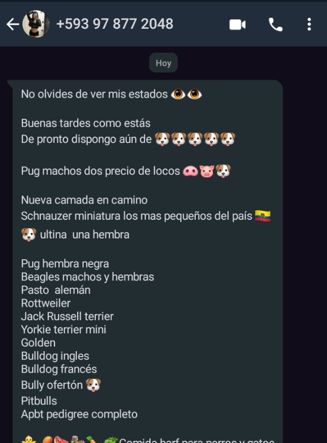 poetasio's tweet photo. ¿Hasta cuando se siguen comercializando cachorros en un menú en Ecuador? @MunicipioQuito @quitoinforma @amcquito @AccionAnimalEC @PoliciaEcuador https://t.co/Uyr15UcP86