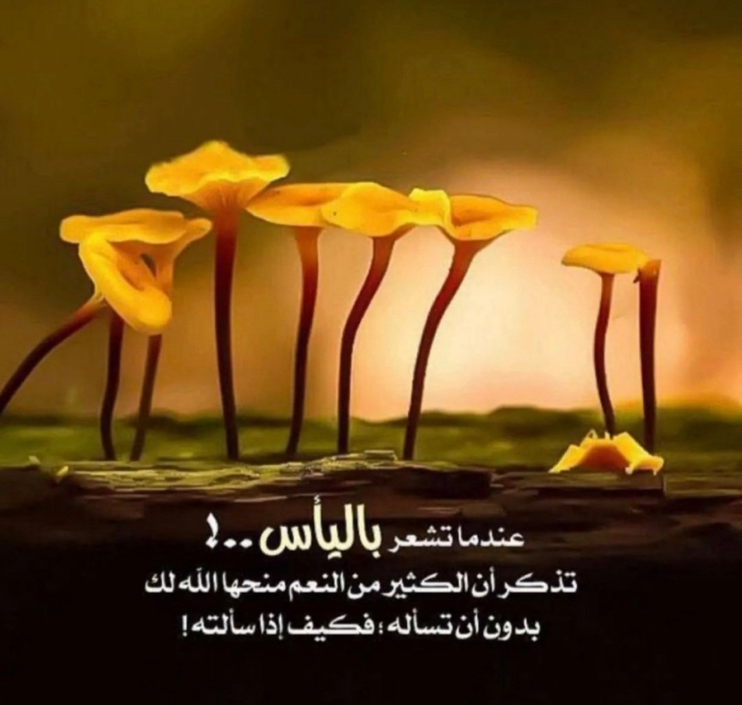 II_dragonfly's tweet photo. @al_wafi1008 اسأل الله ان يريك عجائب قدرته في تيسير امورك وراحة بالك وتطييب خاطرك https://t.co/aaqM1cUl4C