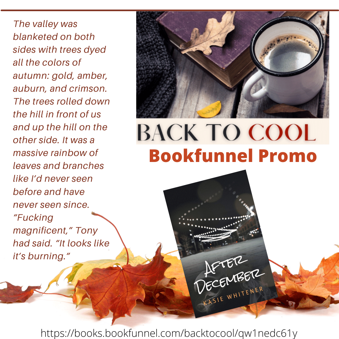 KasieWhitener's tweet image. Excited to bring #AfterDecember to the front of the stage in this Fall 2021 promotion! books.bookfunnel.com/backtocool/qw1…

This is where the #BeforePittsburgh story began. Lots of 4 and 5-star reviews rolling through IG for the second in the duet. But you should start reading here: