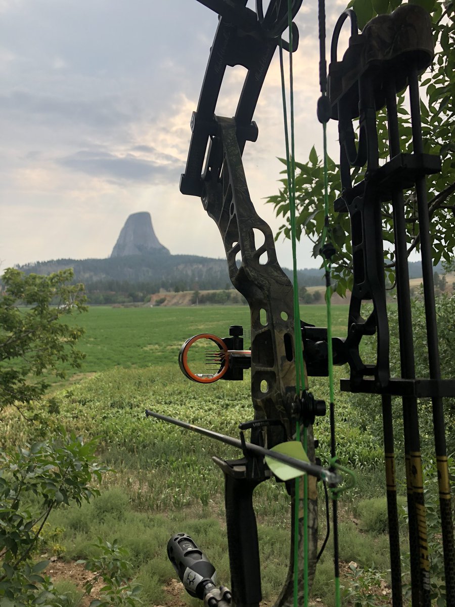 Michael Waddell (@boogerbottom) on Twitter photo decompressing from the world & worry.
Opening day in WY! With some great men! <a href="/DB_Realtree/">David Blanton</a> <a href="/RedArrowTV/">Red Arrow</a> <a href="/friar_martin_dc/">Justin Martin</a> <a href="/GodwintheWalrus/">John Godwin</a>
Without those of you who read this tweet, I would not have this opportunity! I don’t take this for granted! Thank you sincerely 🇺🇸 decompressing from the world & worry.
Opening day in WY! With some great men! <a href="/DB_Realtree/">David Blanton</a> <a href="/RedArrowTV/">Red Arrow</a> <a href="/friar_martin_dc/">Justin Martin</a> <a href="/GodwintheWalrus/">John Godwin</a>
Without those of you who read this tweet, I would not have this opportunity! I don’t take this for granted! Thank you sincerely 🇺🇸