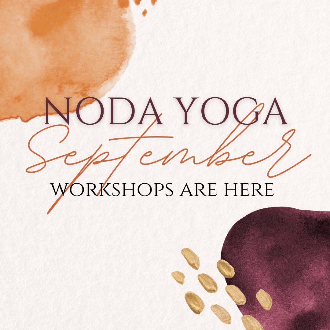 NoDa Yoga tweet media