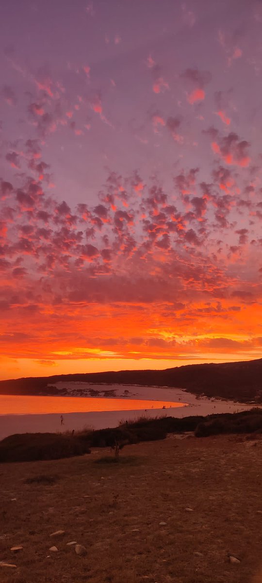n9noelia's tweet photo. Ayer Tarifa nos regaló un cielo en llamas https://t.co/C7gU9povuB