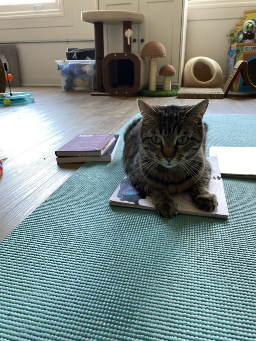 Watch kitty ♡'s leaked NSFW photo on TwXstars