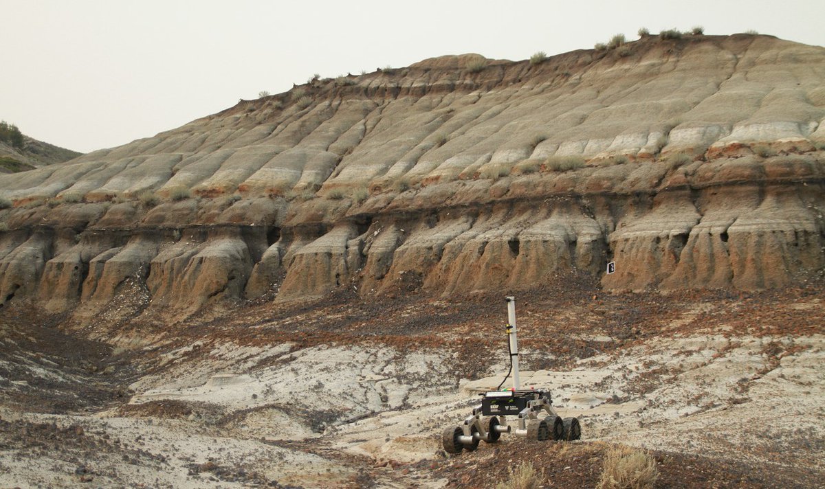Royal Tyrrell Museum of Palaeontology tweet media