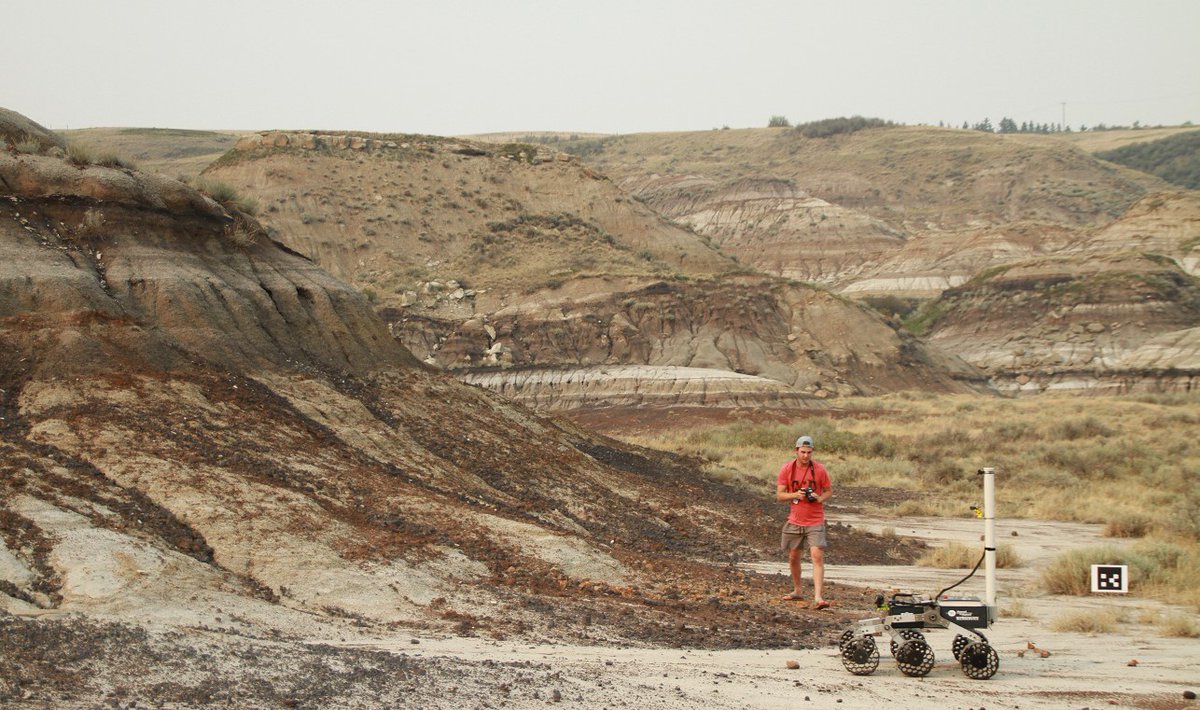 Royal Tyrrell Museum of Palaeontology tweet media