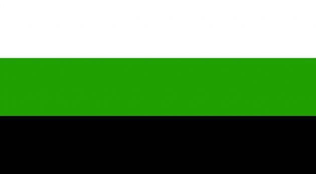 nonbinarycult's tweet image. [ interação 📢]: se você é não binárie, cite esse tweet com as suas bandeiras ! ( bandeiras dês adms !