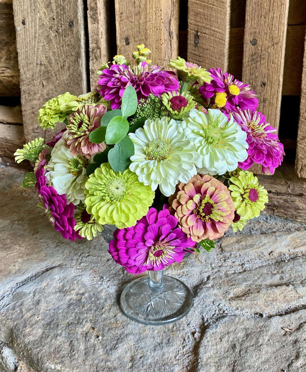 We've been busy in our design studio creating arrangements for special occasions, bereavements or just to add happiness to a home or workspace.  

#floraldesign #floral #farmerflorist #weavervillenc #barnardsvillenc #ashevillenc #marshillnc #specialoccassions #design #Flowers