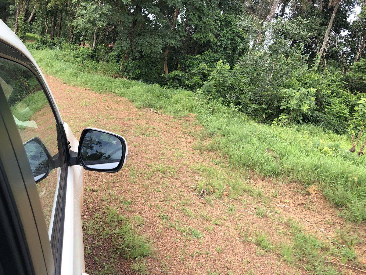 malado_kaba's tweet photo. Hier j’ai tenu à parcourir toute la piste de #Kaboye à #Kampathè pour constater la matérialité des travaux financés grâce au #FODEL #Tanene #Boke #developpement #economique #local #redevabilite #infrastructures @gac_guinee @CBG_Guinee @SMBguinee https://t.co/7NGbn2lA8L