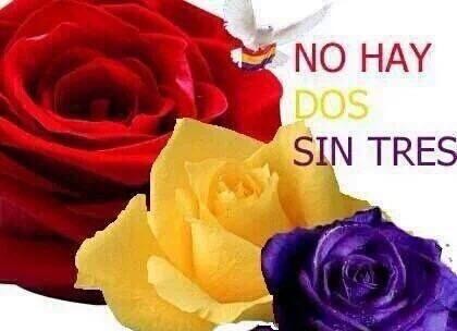 joxanin's tweet image. #ConstruirRepública