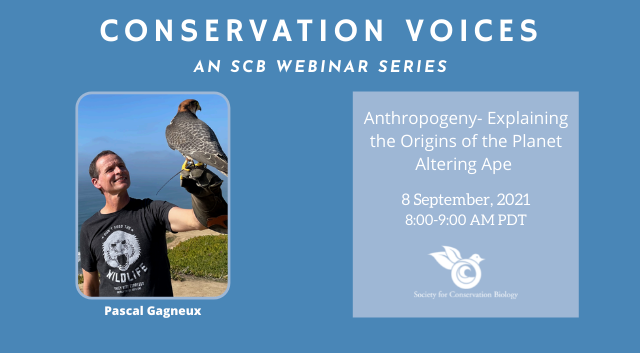 Society4ConBio's tweet image. Join us on September 8th for an exciting webinar with Pascal Gagneux on primate evolutionary ecology and conservation: 'Anthropogeny- Explaining the Origins of the Planet Altering Ape.'
Register here: bit.ly/3t3fir3
#conservation #scienceandenvironment #ecology