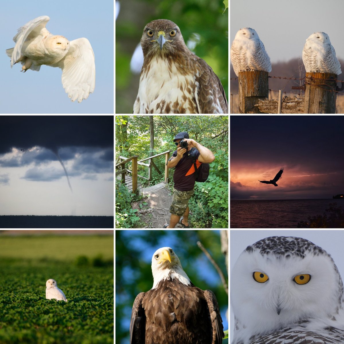 Jamie (@photochaserj) on Twitter photo <a href="/FlakPhoto/">Andy Adams</a> Hey peeps, I'm Jamie! Mostly a wildlife shooter but I also Storm chase.
I'm currently shooting Nikon crop with a Sigma 150-600 75% of the time.
Instagram.com/randomshots_li…
Hit me up, I will follow back.
As <a href="/sethmacey/">Seth Macey</a> says in "The Photographers Mindset" podcast
Stay focused! <a href="/FlakPhoto/">Andy Adams</a> Hey peeps, I'm Jamie! Mostly a wildlife shooter but I also Storm chase.
I'm currently shooting Nikon crop with a Sigma 150-600 75% of the time.
Instagram.com/randomshots_li…
Hit me up, I will follow back.
As <a href="/sethmacey/">Seth Macey</a> says in "The Photographers Mindset" podcast
Stay focused!