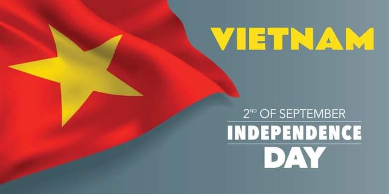 vi nguyễn tweet media