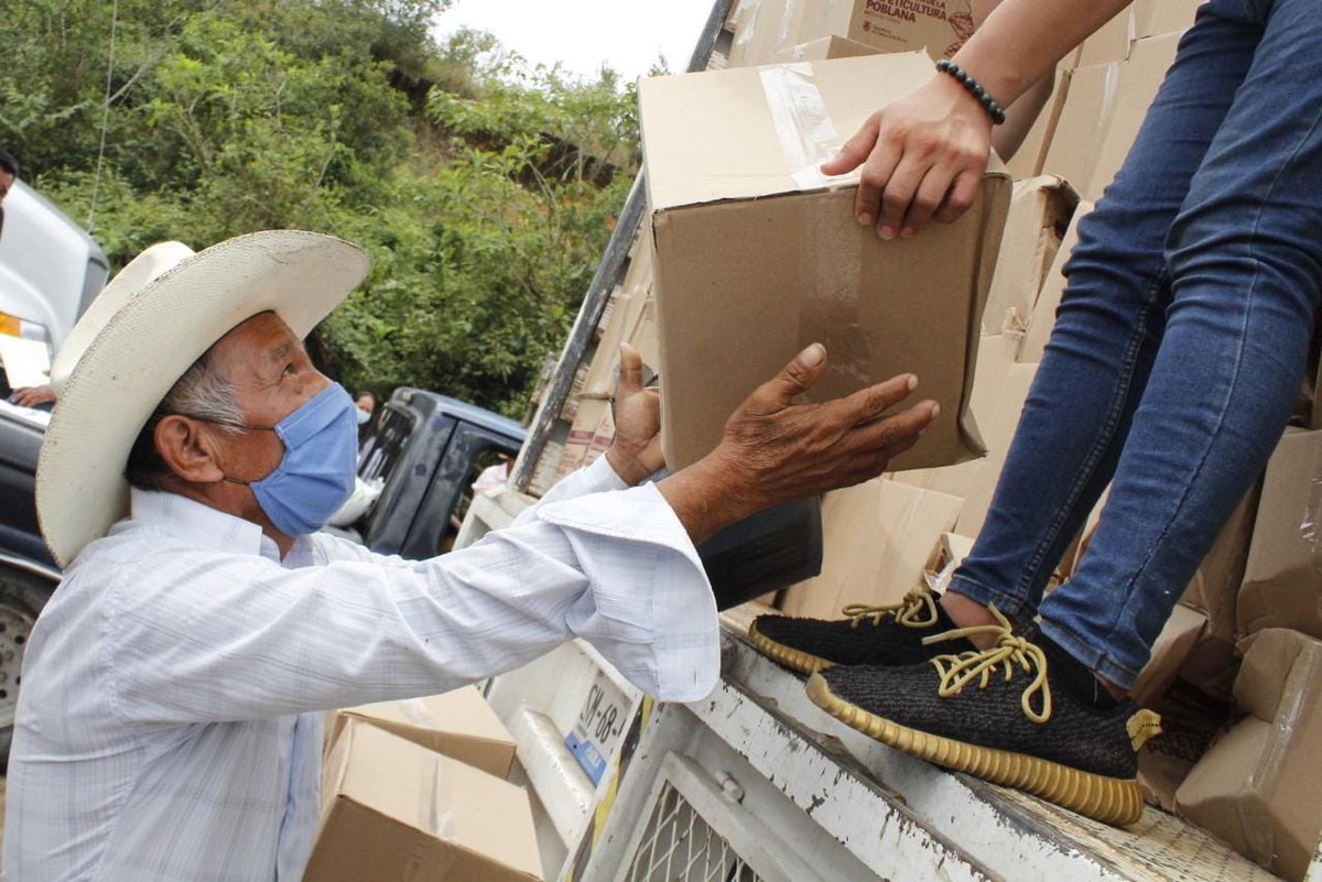 SDRGobPue's tweet photo. La recuperación de la cafeticultura poblana continúa con la entrega de paquetes tecnológicos con insumos de alta calidad a productoras y productores cafetaleros de la región #Zacapoaxtla.

Con estas acciones el campo poblano se fortalece. 👨🏽‍🌾👩🏽‍🌾 https://t.co/Xif2Y11AbZ