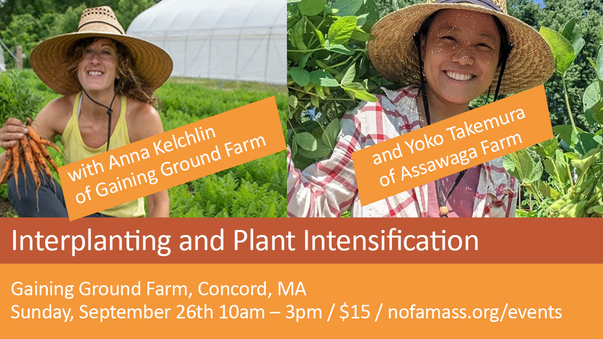 NOFAMass's tweet photo. Sign up for our first in-person Fall event of the year! Learn small-scale, high-yield methods for crop production with hands-on demonstrations at #GainingGroundFarm https://t.co/5b7LAO5c1o
