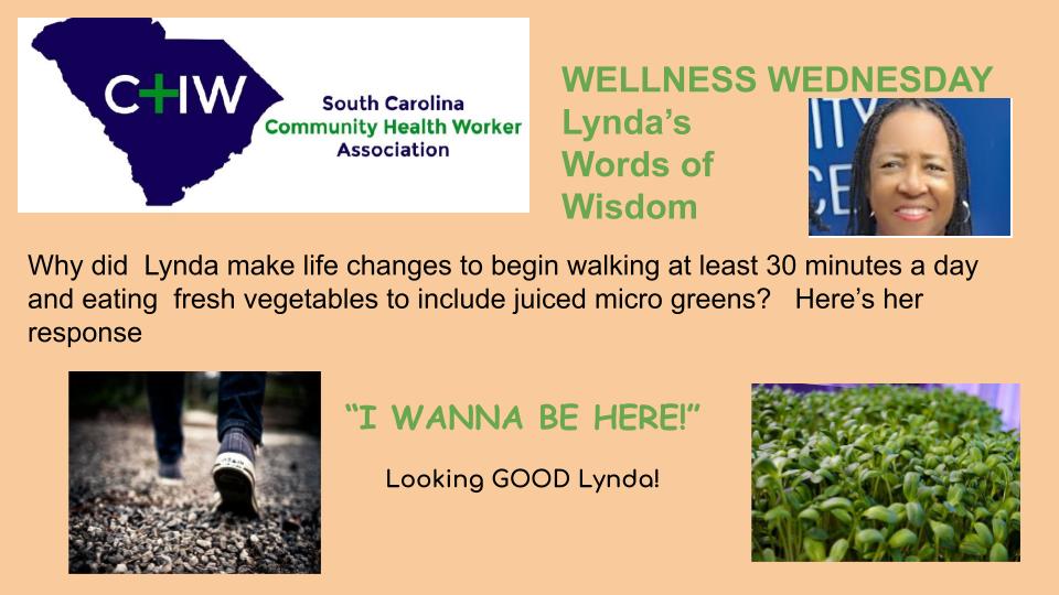 SCCHWA (@scchwa) on Twitter photo 