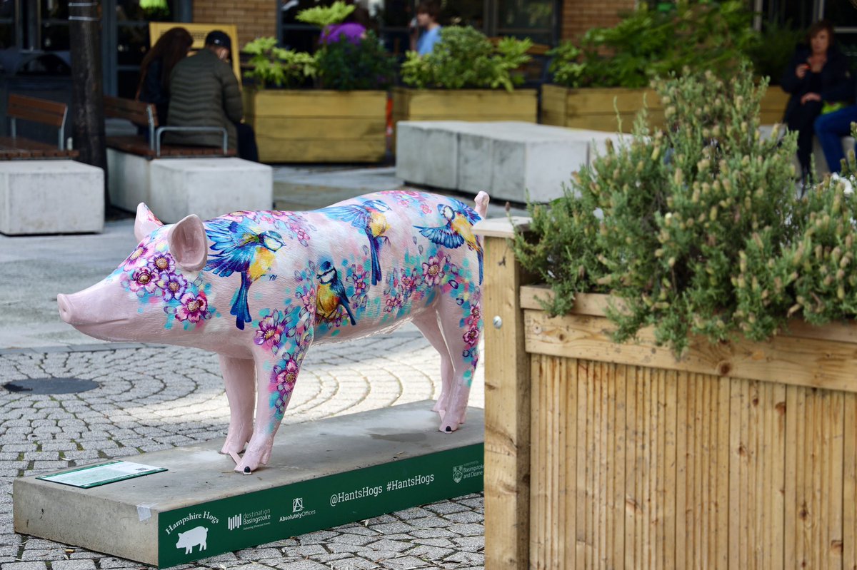 SianStoreyArt's tweet photo. September is perfect for pig spotting 💗
@basingstoke @FestivalPlace #hantshogs #hampshirehogs https://t.co/33T6w6Y6ay
