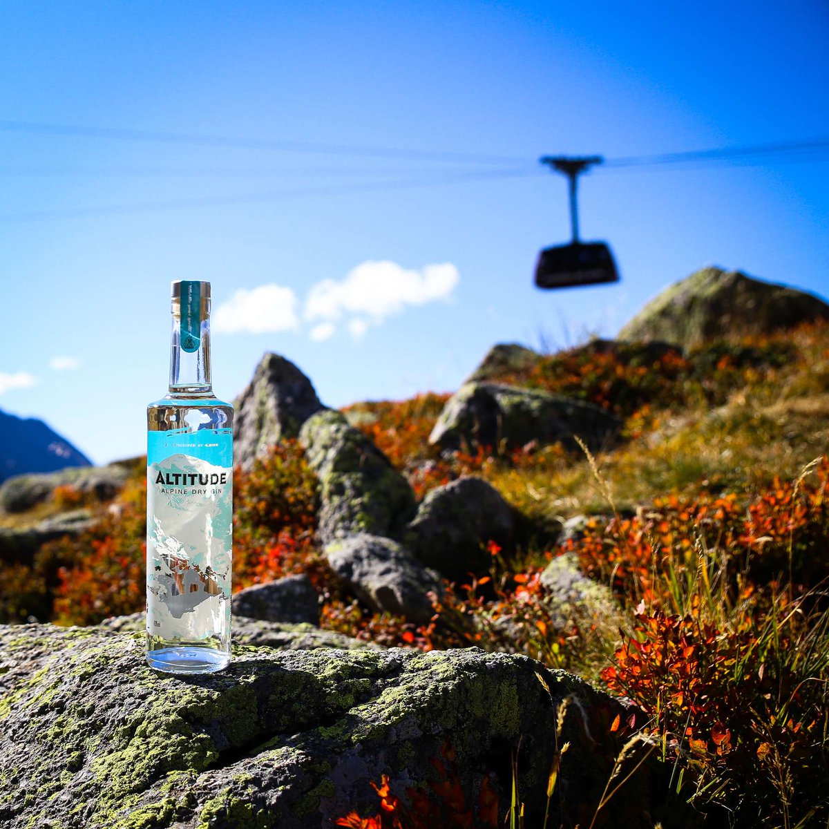 The Gin Warehouse tweet media