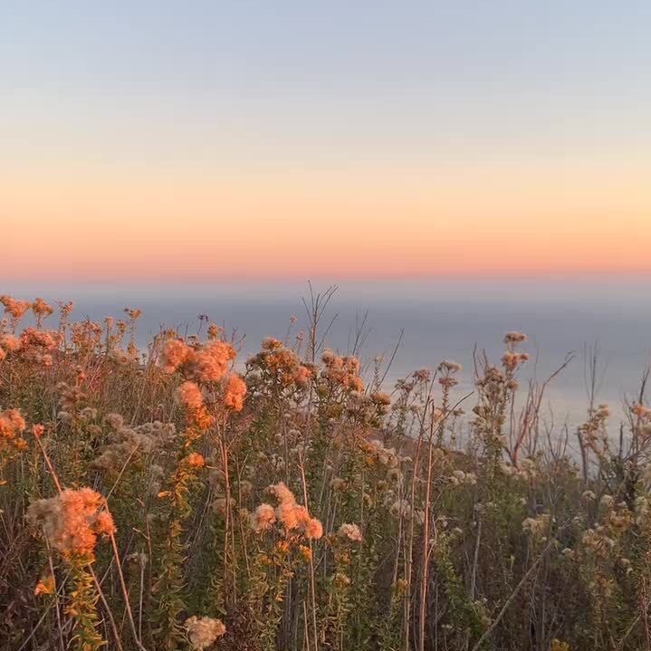 thelailac's tweet photo. until the sun sets.
— a chan x oc filo au.

where in Sinag, a thomasian whose life is fixed bumped into Legend; an atenean who has opposite views in life as her. while Sinag trying to live, Legend wants otherwise. will they find a solace despite of their differences? https://t.co/HfTu3wNAWB