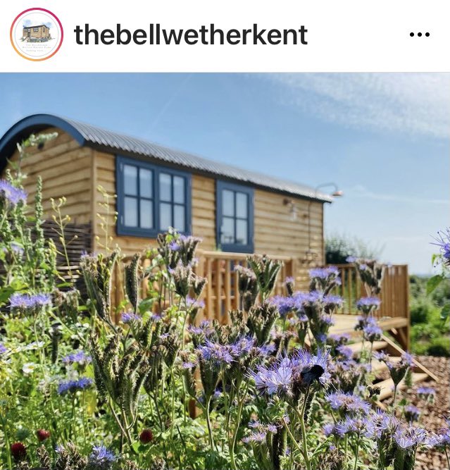 BellwetherKent's tweet photo. Come and see us @BellwetherKent https://t.co/JdFss17lcx