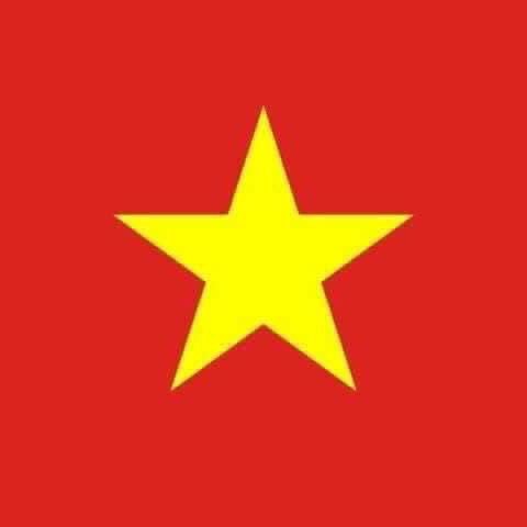 vi nguyễn tweet media