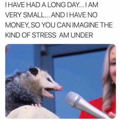 Chris_sehh's tweet photo. @PlayingOpossum1 https://t.co/UTl5IEKRSA