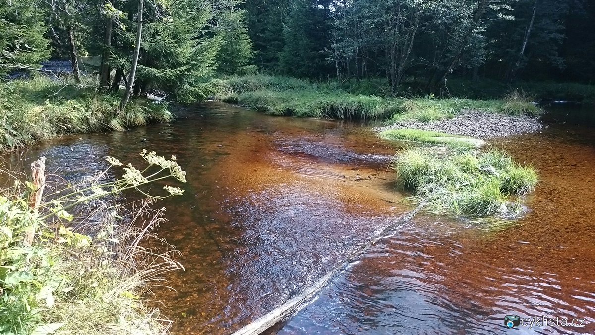 seniortour2000's tweet photo. Dopolední Slatinný potok #Hurka #Sumava cestou na Keply a Farmářskou stezkou na Petrovice a možná #Svatobor #Susice, ale z důvodů překážek na straně operátora posláno #praveted 😀 https://t.co/i5O5kXUnQE