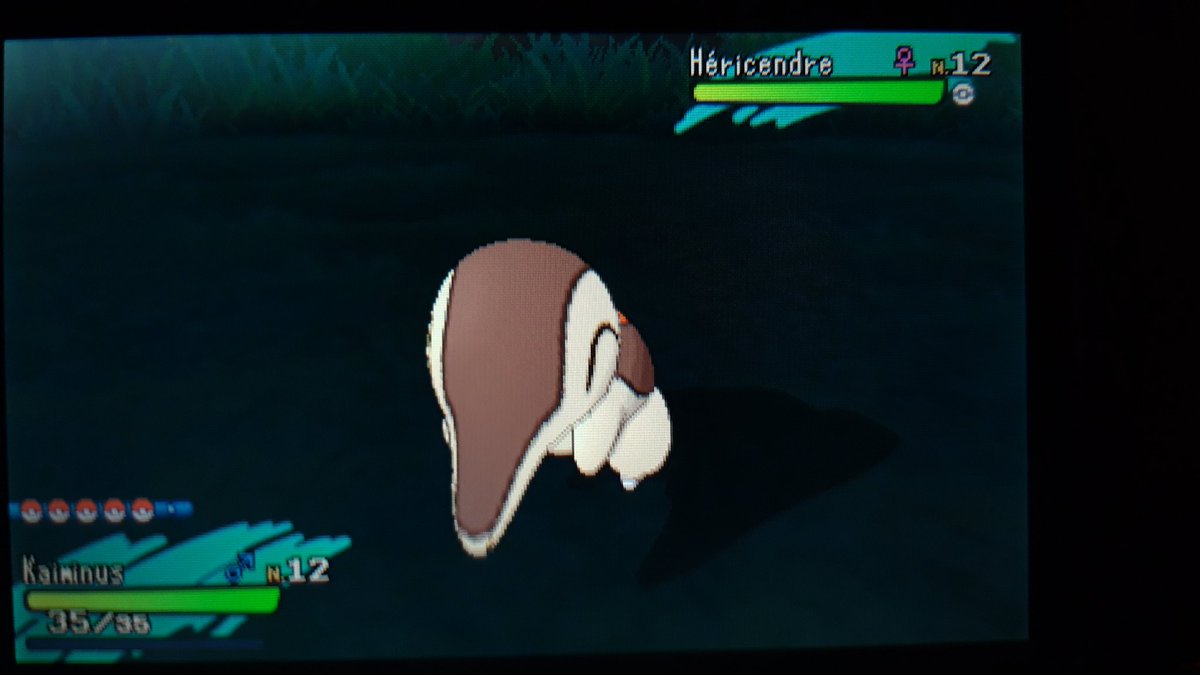 Charlo741's tweet photo. 🌟369/898🌟: Héricendre shiny trouvée en 2266 rencontres aléatoires avec le scanner des îles 😉 

Content de trouver ce shiny. D'autant plus que c'est mon starter préféré 😍 https://t.co/sfCLDH6T86