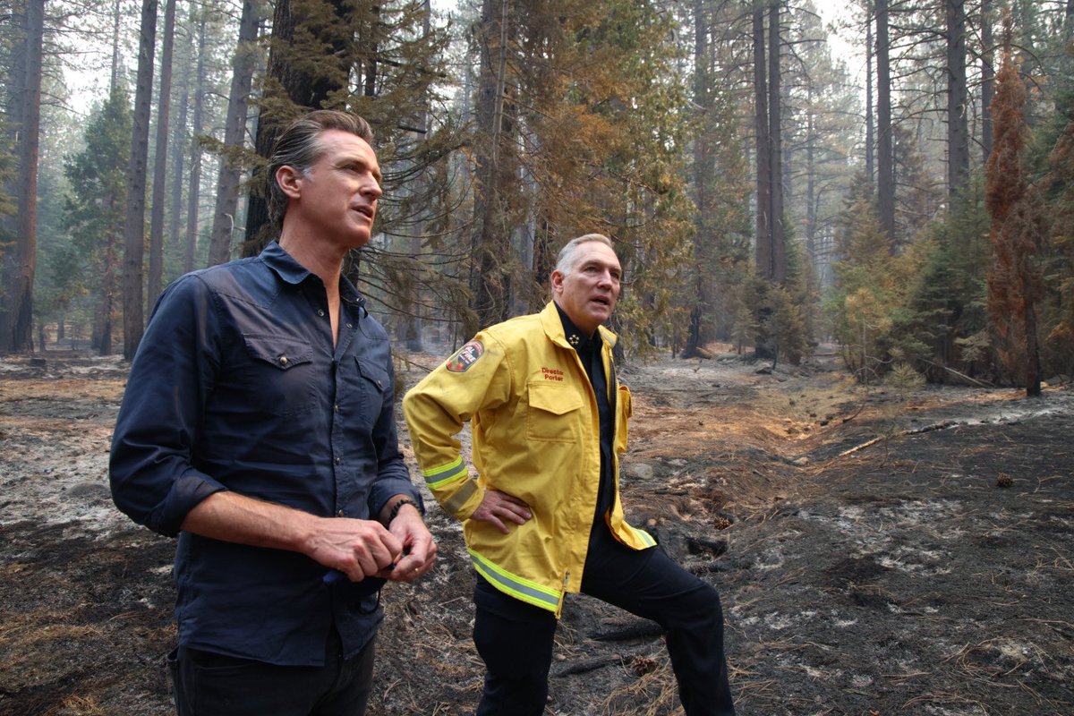5K+ personnel are on the frontlines of the devastating #CaldorFire that has burned 200K+ acres.

Thanks to law enforcement, evacuations have been successful & no lives have been lost due to these dangerous fires. We owe our gratitude to everyone working tirelessly to protect CA.