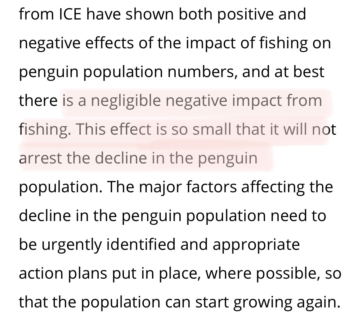 thefishguySA tweet media