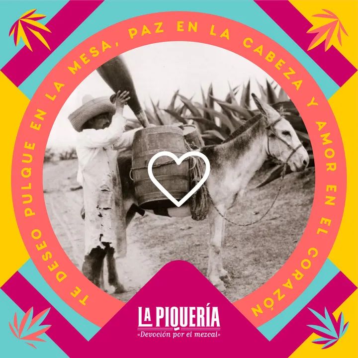 LaPiqueria's tweet photo. Te deseo #pulque en la mesa,
#paz en la cabeza y 
#amor en el #corazón.
Hoy #pulquenatural, #pulquecurado y #pulcada están al #2x1  TODO EL DÍA!

* Plato de #GajosdePapa + #Michelada por $90
* #Molletes #Aranzazú en #PanDePulque con cualquier guisado + Jarra de #cerveza por $160 https://t.co/MlLNPCl3me
