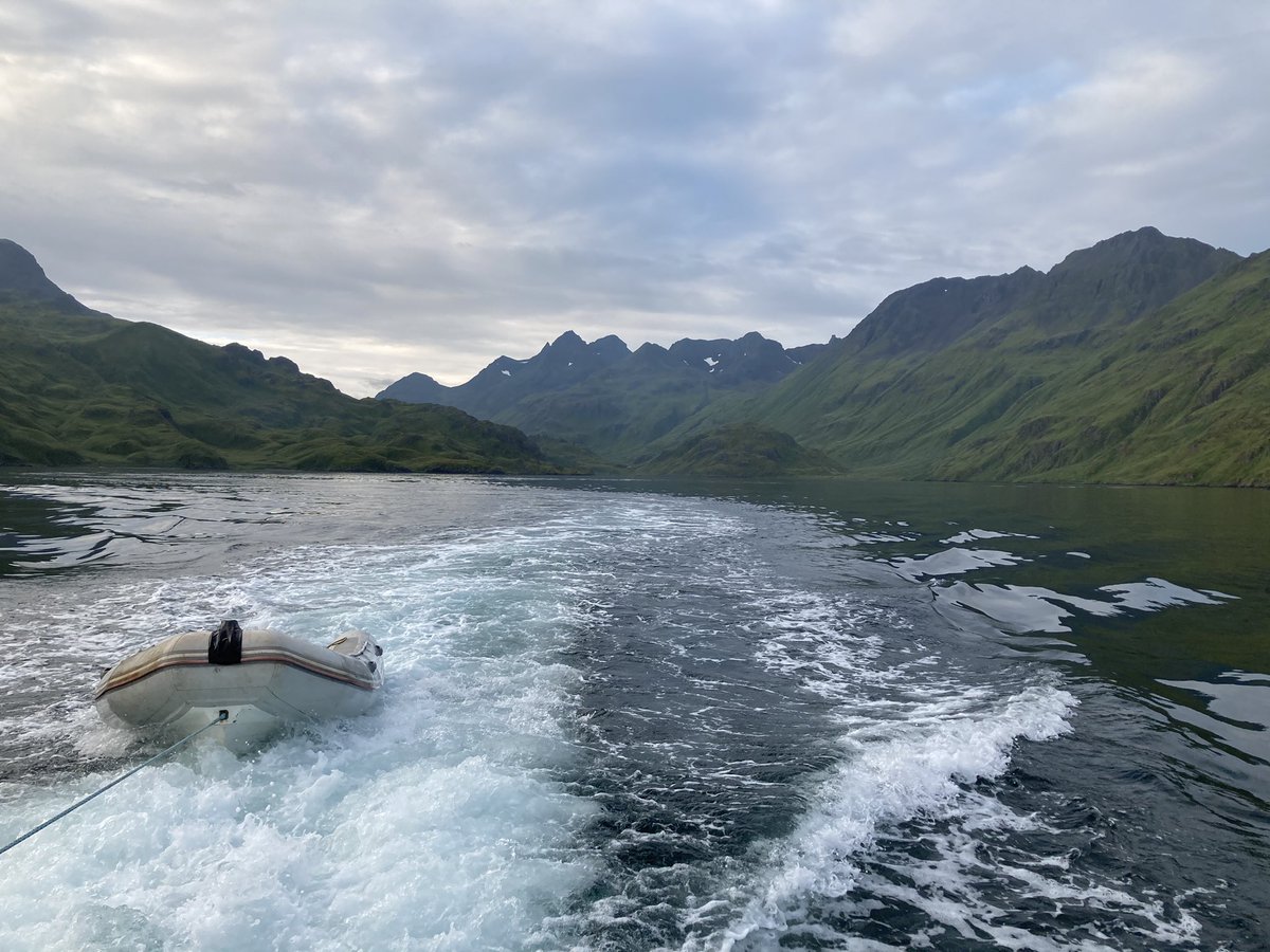 Great week of fieldwork in Skan Bay Unalaska, AK w WHOI coastal sys grp, CORMP.org, UAF Maio n Bogardus