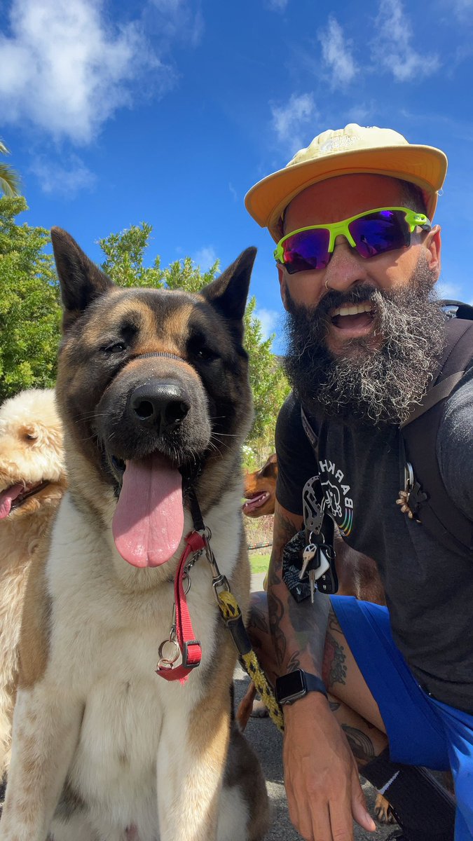 TheBarkhaus's tweet photo. Tired dog happy dog! https://t.co/84YYEpFBdl