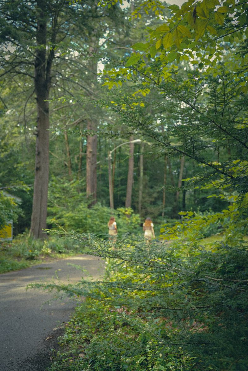 TGIMAXIMO's tweet photo. Walk through the Grove https://t.co/BXcaLjdUcI